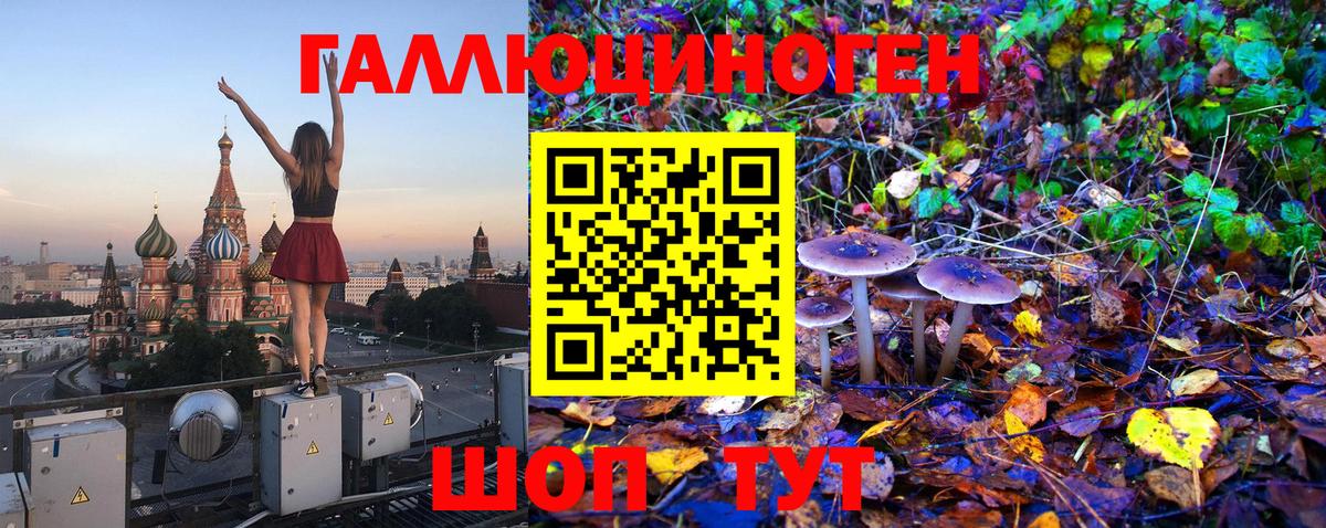 Галлюциногенные грибы Psilocybe Полевской