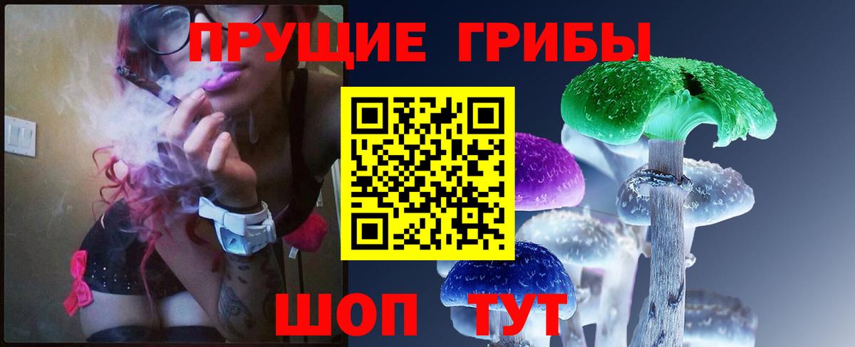 Полевской  Псилоцибиновые грибы мухоморы  наркошоп  Псилоцибиновые грибы Psilocybine cubensis  Вход с VPN 